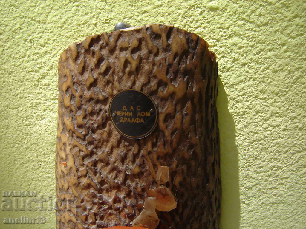 Licitație STAR SENSE ELENOV ROG SLS Licitație STAR SENSE ELENOV ROG SLS