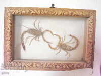 Old wall panel with scorpions and carving