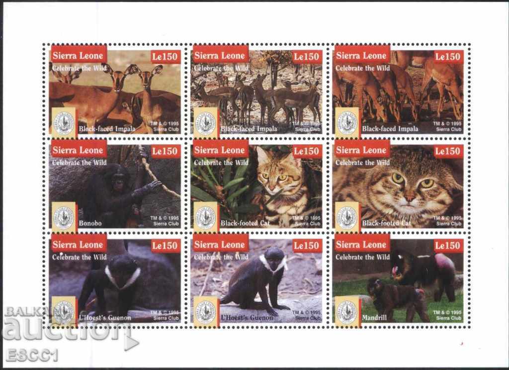 Чисти марки в малък лист Фауна Диви животни 1995 Сиера Леоне