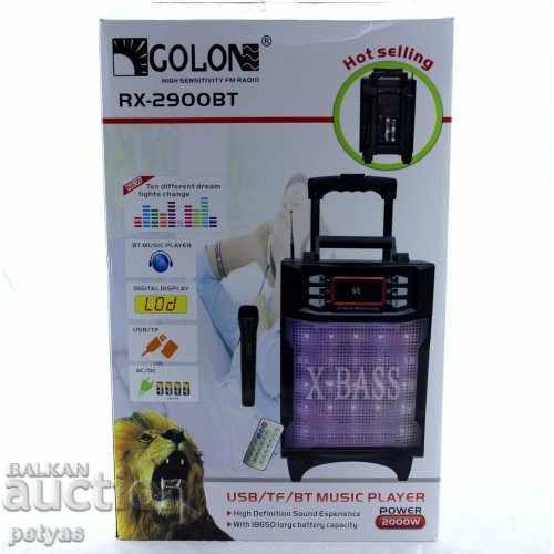 Difuzor Karaoke Golon RX-2900 BT cu Bluetooth și microfon - 5 Difuzor Karaoke Golon RX-2900 BT cu Bluetooth și microfon - 5