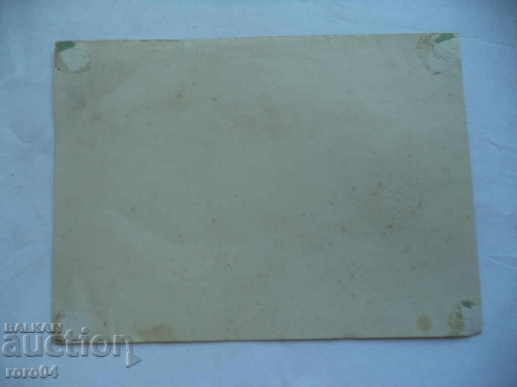 SULEIKA - 7 SULEIKA - 7