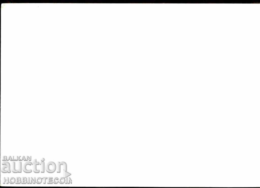 CARD POSTA NEUTILIZATA 1300 BULGARIA 2 culori cu preț 4.87 BGN | € 2.49 CARD POSTA NEUTILIZATA 1300 BULGARIA 2 culori cu preț 4.87 BGN | € 2.49