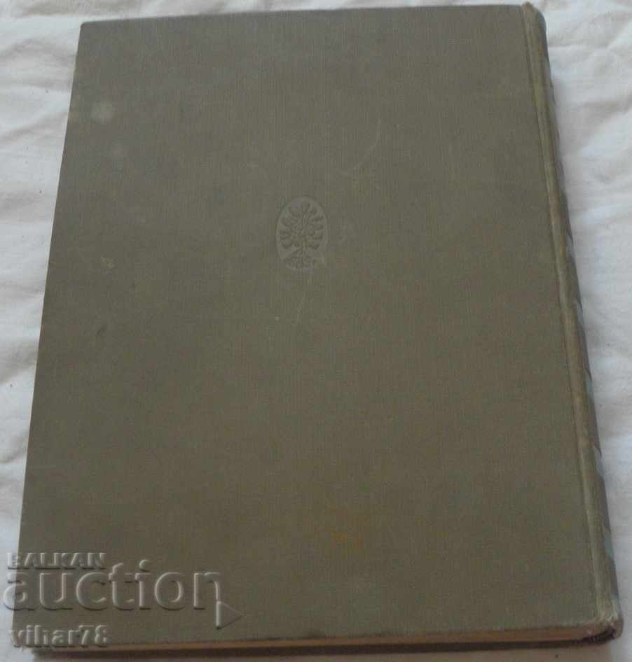 STARA GERMAN BOOK - 7 STARA GERMAN BOOK - 7