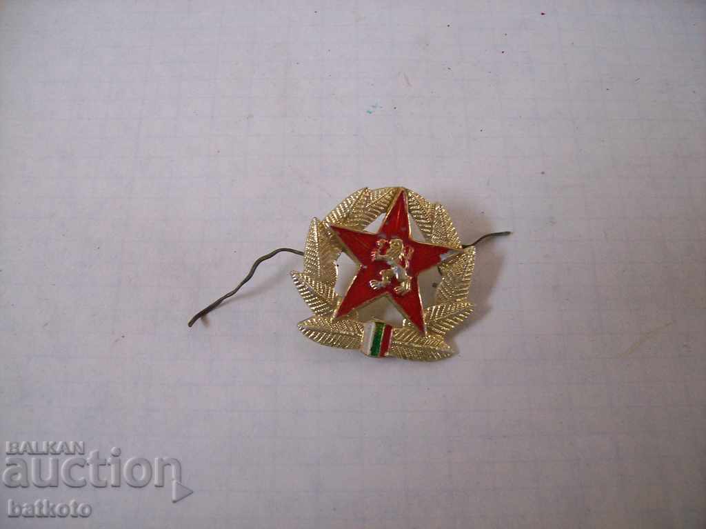 An old soldier's cockade