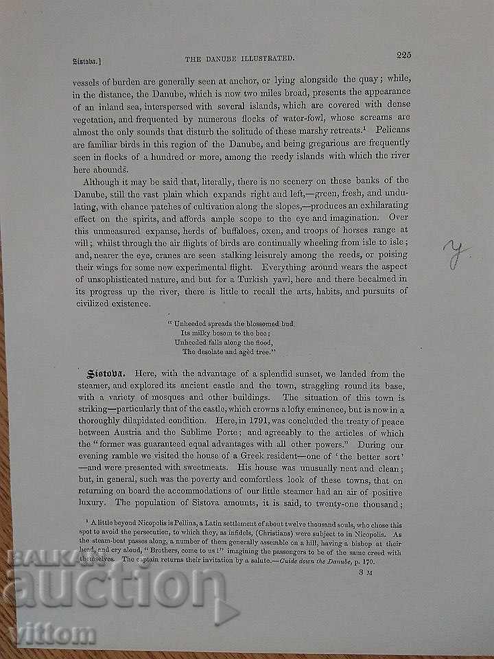 Svishtov old engraving 19th century with text Ruse with price 35.00 BGN | € 17.90 Svishtov old engraving 19th century with text Ruse with price 35.00 BGN | € 17.90