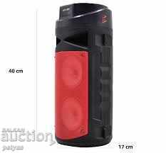 Delivery of Column with FM radio BT, flash karta, microphone kts 1091 Delivery of Column with FM radio BT, flash karta, microphone kts 1091