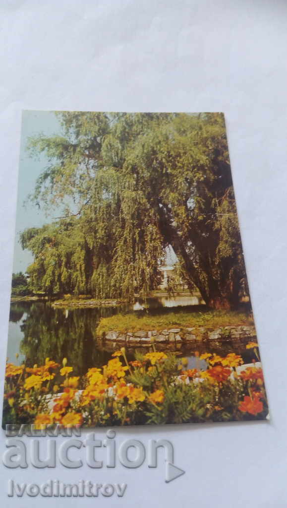 Postcard Razlog Corner from the park 1985