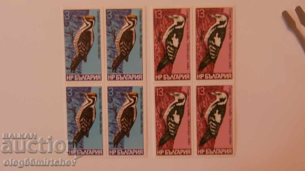 Bulgaria - 1978. Woodpeckers - BC 2766/71 - clean squares with price 10.00 BGN | € 5.11 Bulgaria - 1978. Woodpeckers - BC 2766/71 - clean squares with price 10.00 BGN | € 5.11
