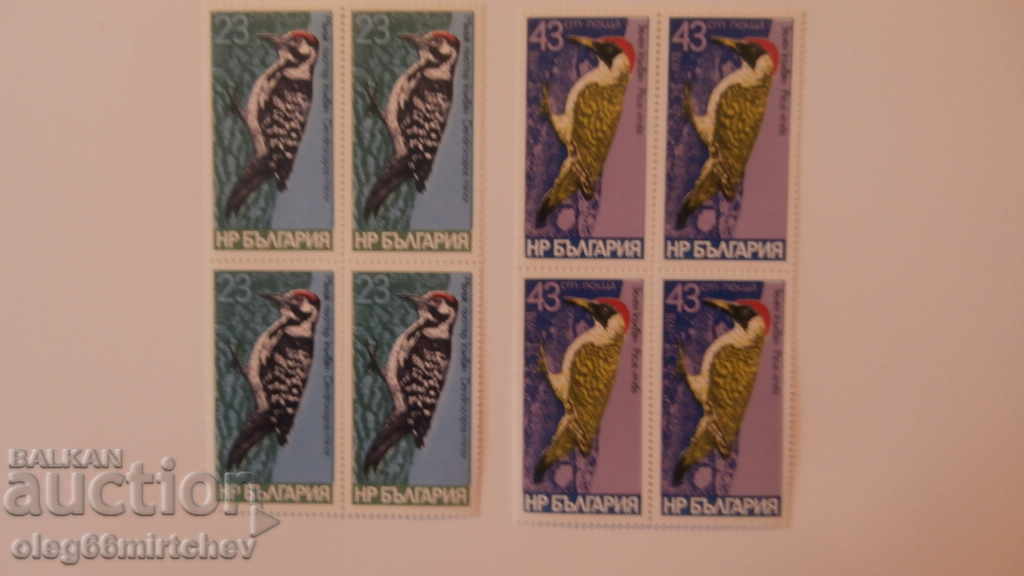 Auction Bulgaria - 1978. Woodpeckers - BC 2766/71 - clean squares Auction Bulgaria - 1978. Woodpeckers - BC 2766/71 - clean squares
