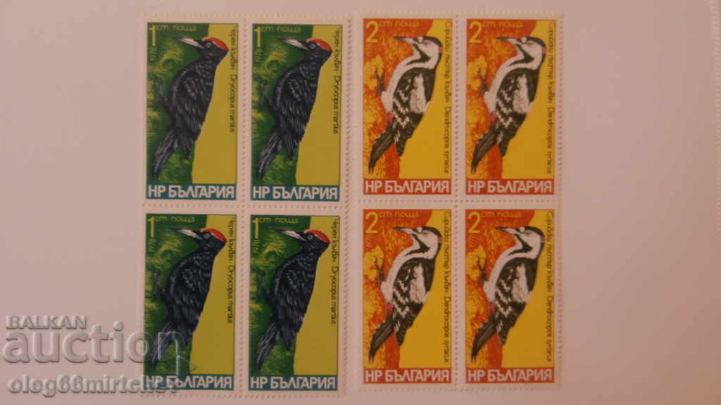 Bulgaria - 1978. Woodpeckers - BC 2766/71 - clean squares