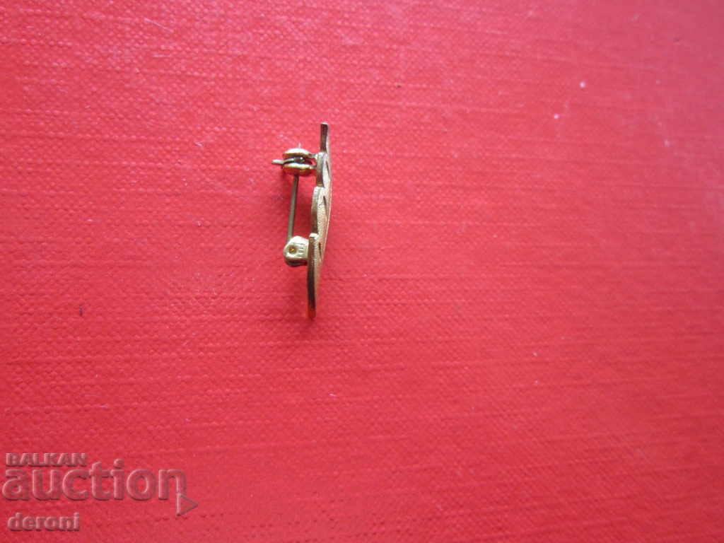 Great gilded hunting badge feather badge - 5 Great gilded hunting badge feather badge - 5