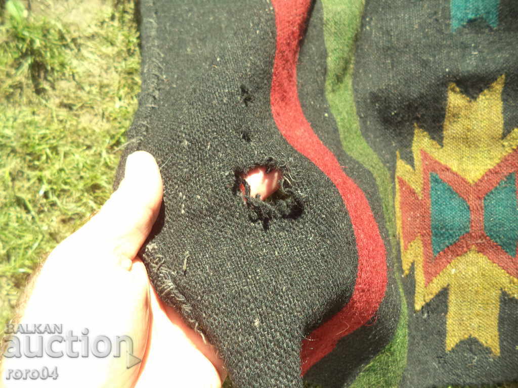 CALEA VIVITORĂ VIVERĂ - Cazanul - II - 7