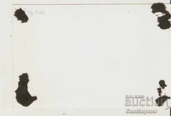 Card Bulgaria Razlog Overview 3 * with price 1.80 BGN | € 0.92 Card Bulgaria Razlog Overview 3 * with price 1.80 BGN | € 0.92