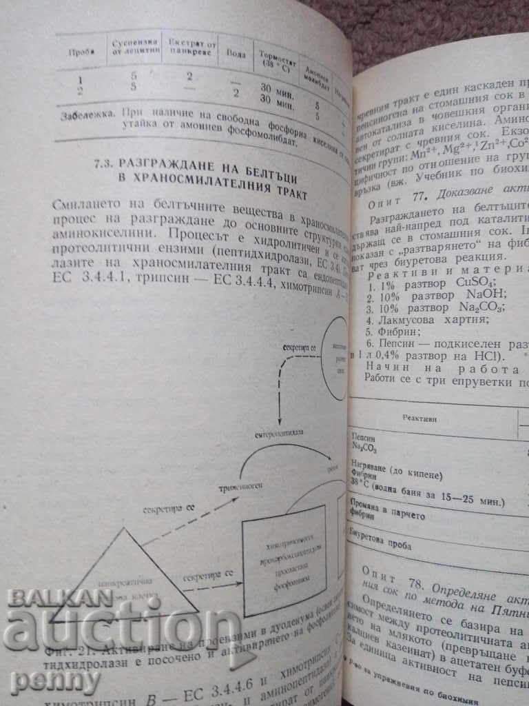 Guide for practical exercises in biochemistry - team - 5 Guide for practical exercises in biochemistry - team - 5