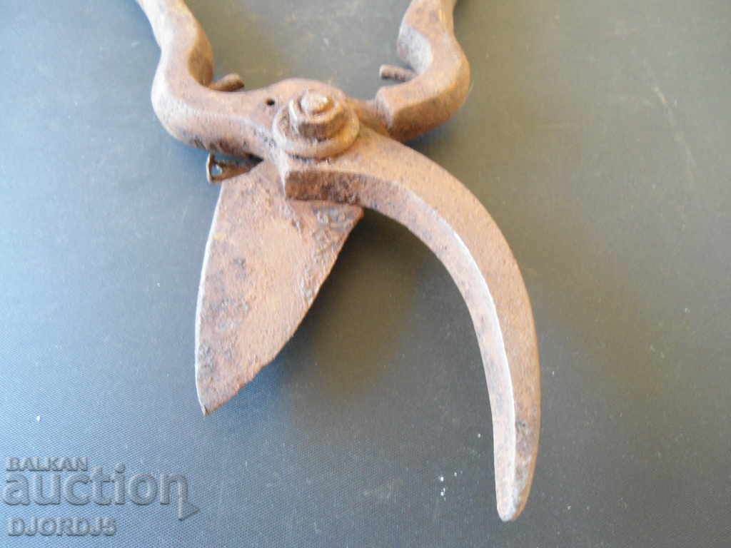 Auction Old scissors Auction Old scissors