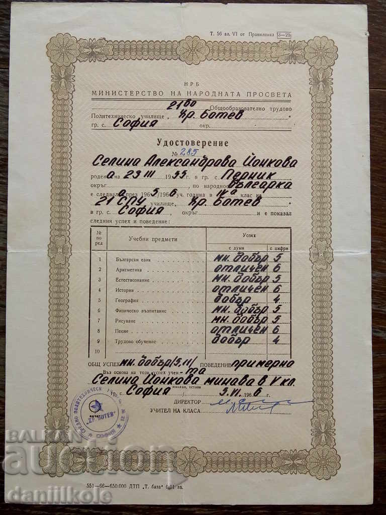 Auction * $ * Y * $ * OLD CERTIFICATE - 1966 * $ * Y * $ * Auction * $ * Y * $ * OLD CERTIFICATE - 1966 * $ * Y * $ *