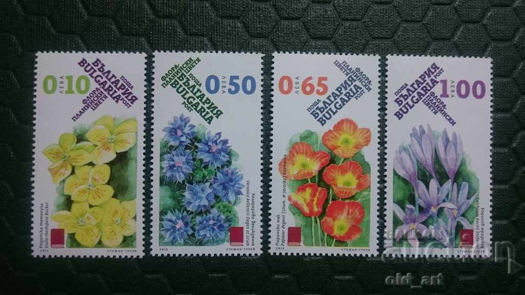 Envelope, postcard and stamps - National Philological Exhibition V. Tarnovo 2015 - 7 Envelope, postcard and stamps - National Philological Exhibition V. Tarnovo 2015 - 7