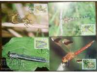 Bulgaria - dragonfly