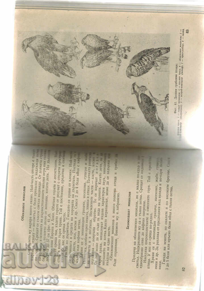 HUNTER AND FISHERMAN'S GUIDE - N. BOTEV - 6 HUNTER AND FISHERMAN'S GUIDE - N. BOTEV - 6