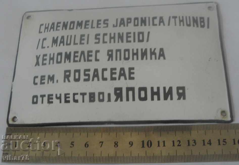 Auction enamelled plate Auction enamelled plate