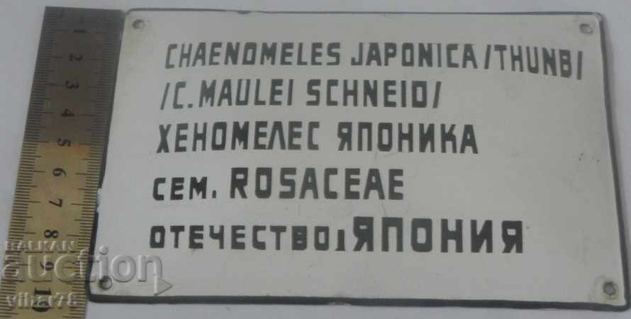 Παράδοση εμαγιέ πλάκα