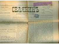 LEUL MARE 1 Cent - ZIAR - TARAN - 2 august 1894