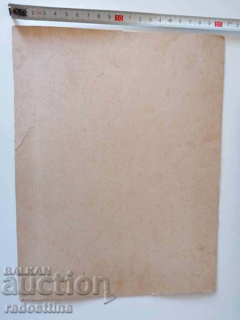 Photograph of a drawing of a cardboard Girls' Gymnasium with price € 15.00 | 29.34 BGN