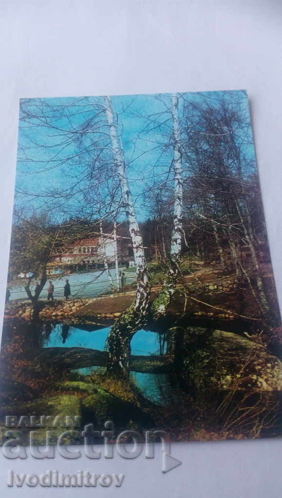 Carte poștală Vitosha Poduri de Aur
