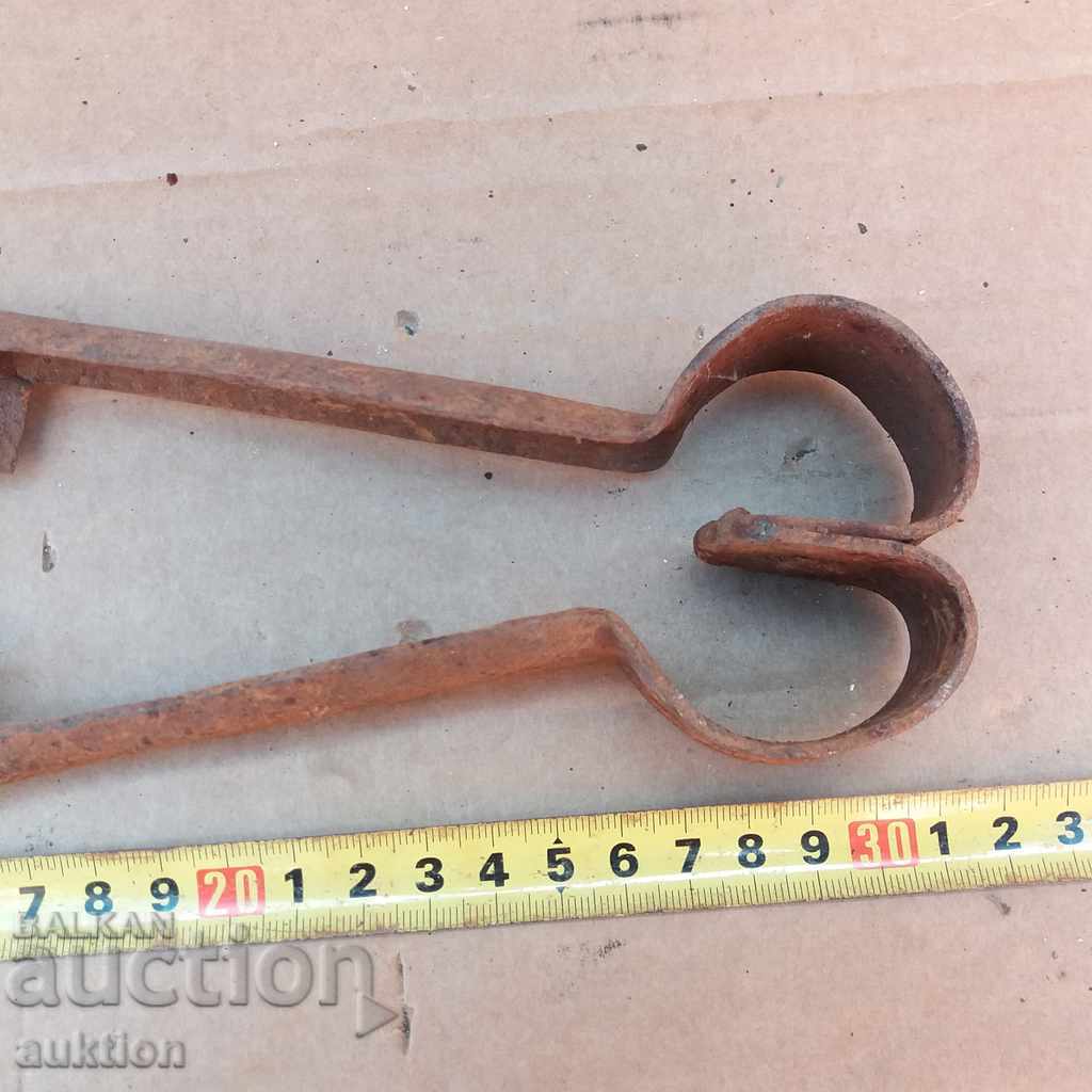 Delivery of STAR HORSES HANDLE FOR SHEEPING THE SHEEP Delivery of STAR HORSES HANDLE FOR SHEEPING THE SHEEP