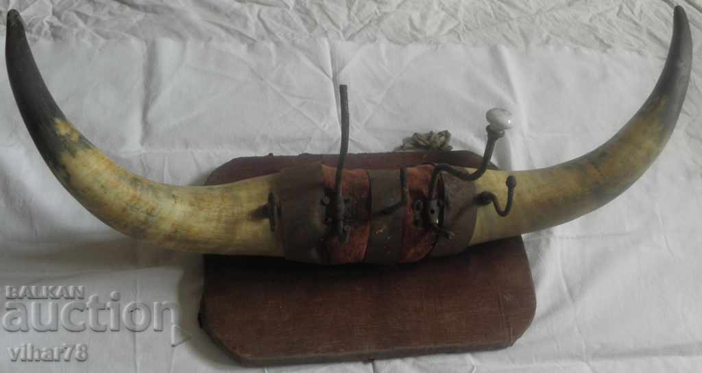 OLD RETRO HOOK FROM A BUFFALON HORN with price 99.99 BGN | € 51.12 OLD RETRO HOOK FROM A BUFFALON HORN with price 99.99 BGN | € 51.12