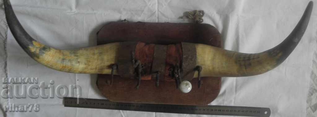 Auction OLD RETRO HOOK FROM A BUFFALON HORN Auction OLD RETRO HOOK FROM A BUFFALON HORN