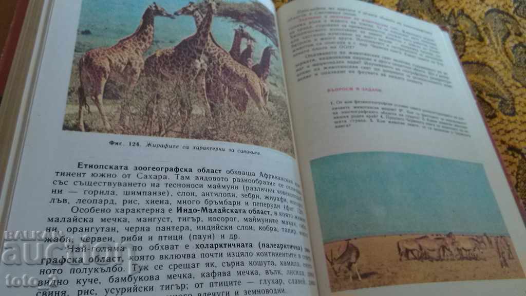 Auction  Geography Textbook for 7th Grade from the Social [publisher/era] - DISCOUNT!!!