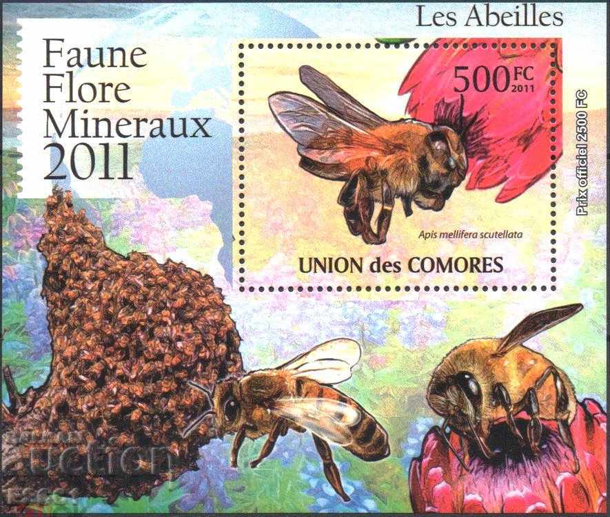 Pure block Bee Fauna 2011 din Comore