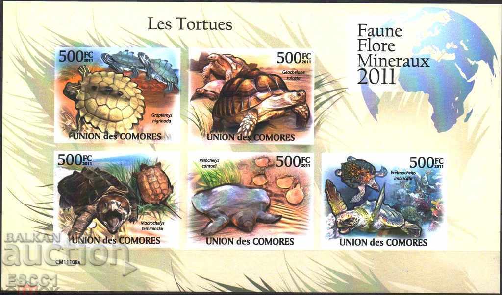 Μικρές μάρκες μικρές. φύλλα Fauna Turtles 2011 Κομόρες