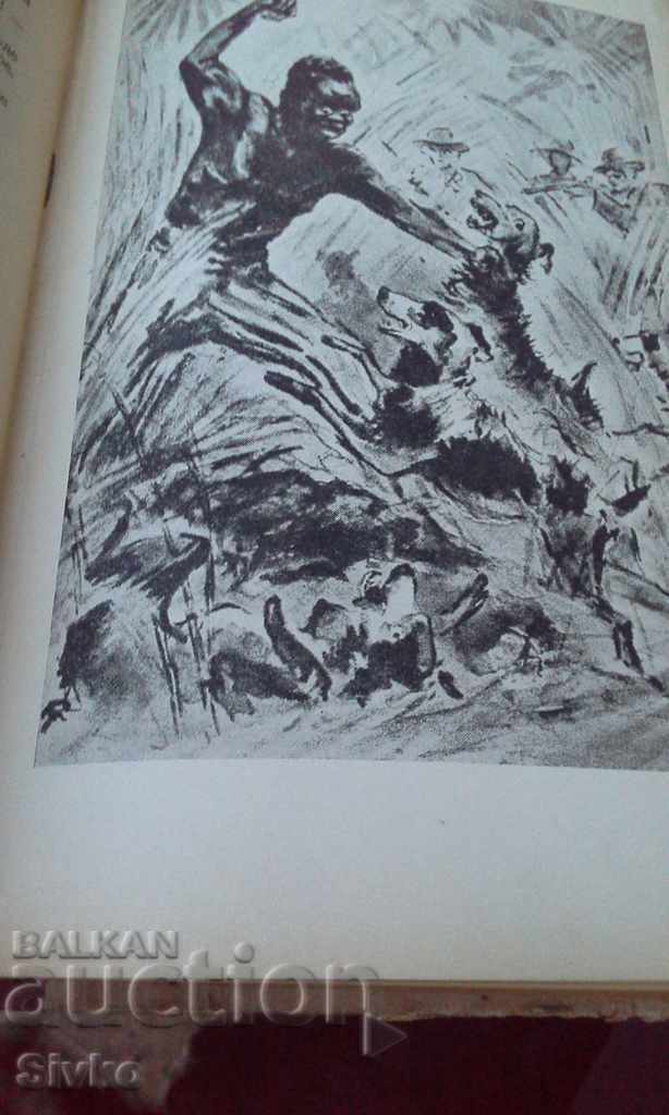 Livrarea Coliba unchiului Tom multe ilustrații Livrarea Coliba unchiului Tom multe ilustrații