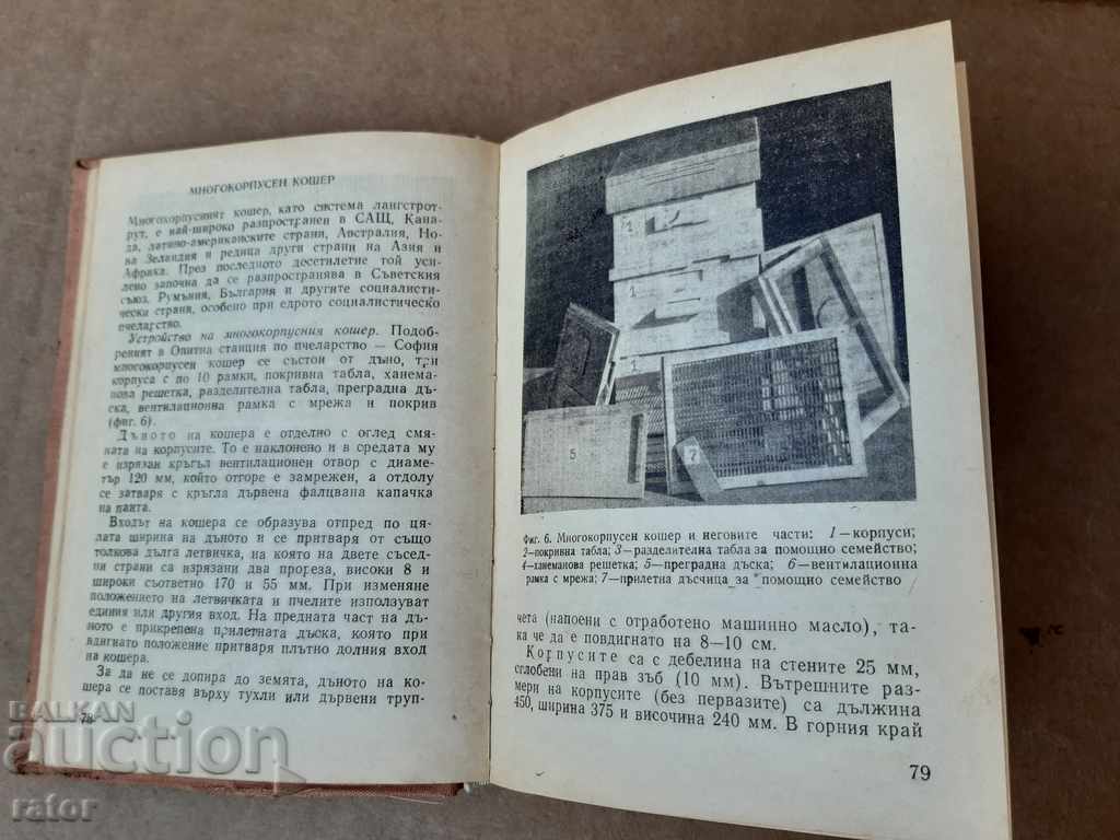 Auction  Calendar of beekeeping