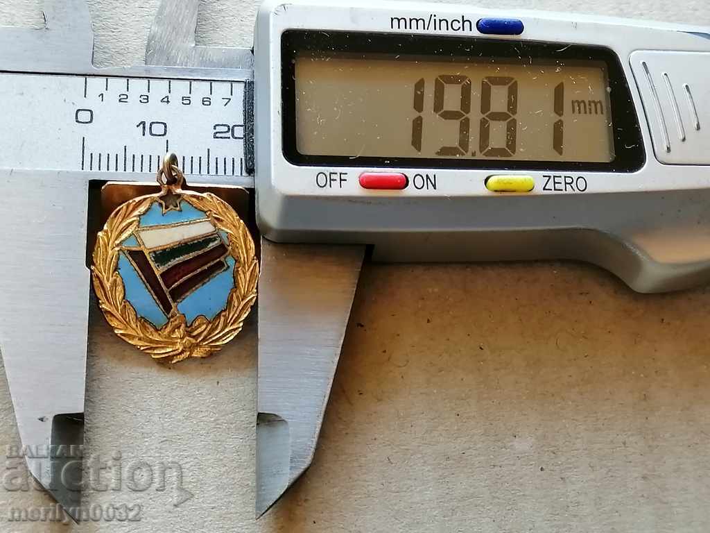 Breastplate Champion badge badge medal PRC with price 39.00 BGN | € 19.94