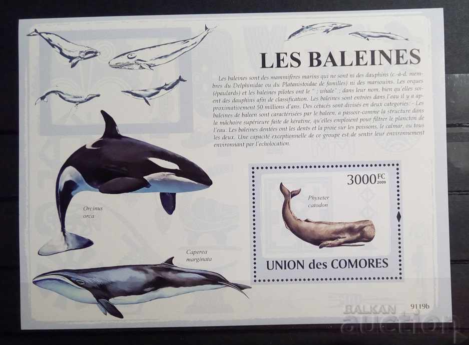 Comore 2009 Fauna / Animale / Bloc de pește 12 € MNH