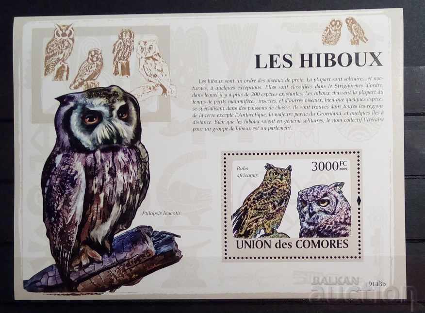 Comore 2009 Fauna / Animale / Păsări / Owls Block 12 € MNH