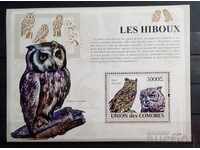Comoros 2009 Fauna / Animals / Birds / Owls Block 12 € MNH