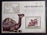 Comoros 2009 Fauna / Animals / Camels Block 12 € MNH