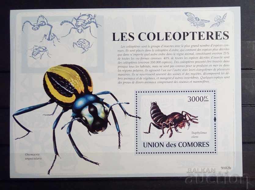 Comoros 2009 Fauna / Animals / Insects Block 12 € MNH