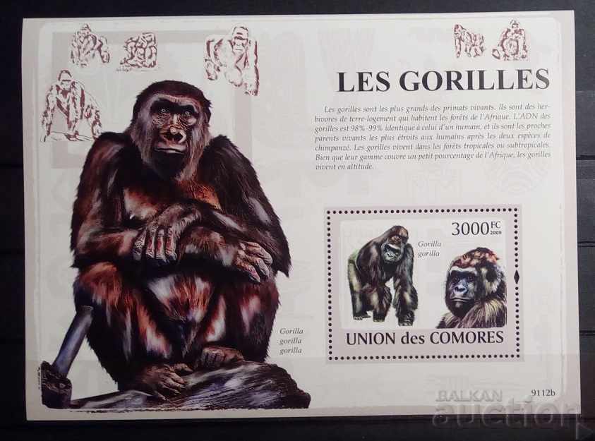 Comoros 2009 Fauna / Animals / Monkeys Block 12 € MNH