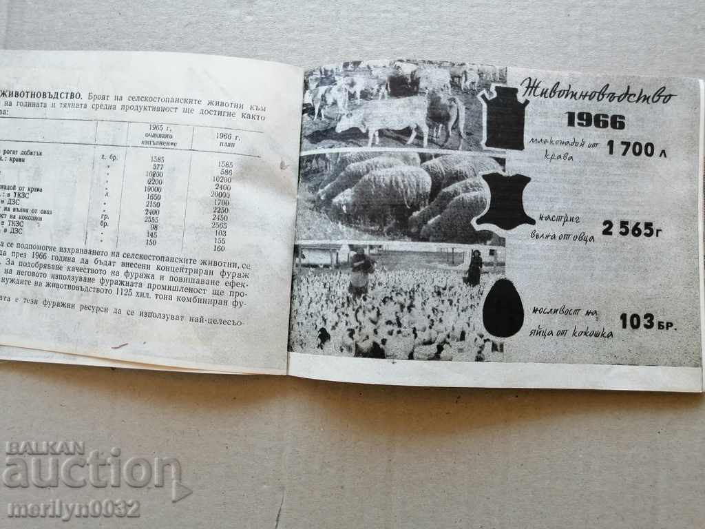 Delivery of The agitator's manual brochure The National Economic Plan 1966 Delivery of The agitator's manual brochure The National Economic Plan 1966