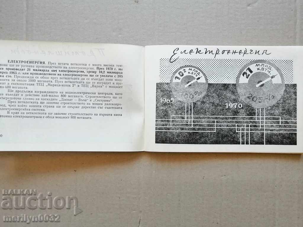 Licitație Broșura manuală a agitatorului Al cincilea plan pe cinci ani