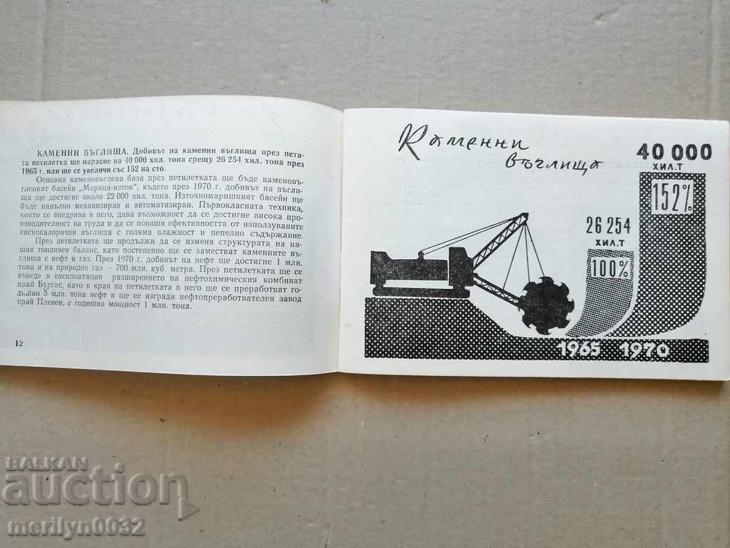 Livrarea Broșura manuală a agitatorului Al cincilea plan pe cinci ani