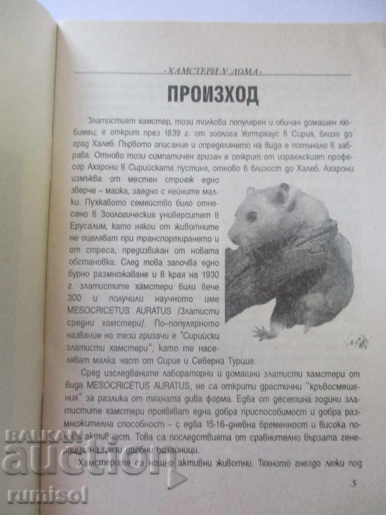 Hamsters at home with price 1.49 BGN | € 0.76 Hamsters at home with price 1.49 BGN | € 0.76