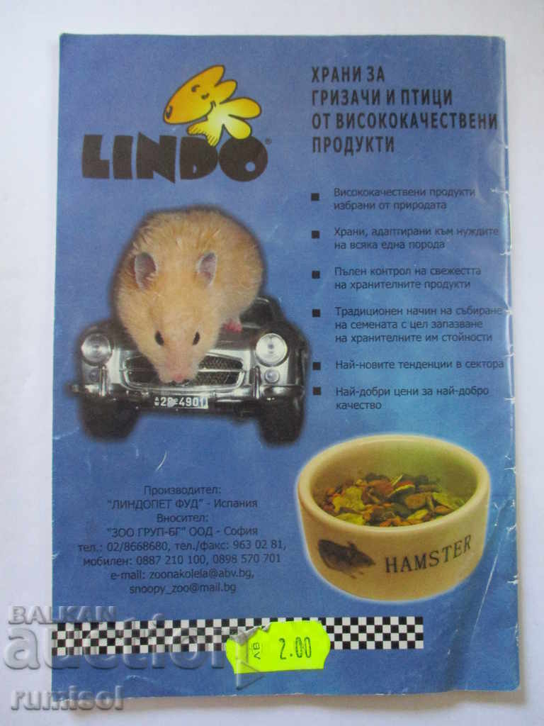 Auction Hamsters at home Auction Hamsters at home