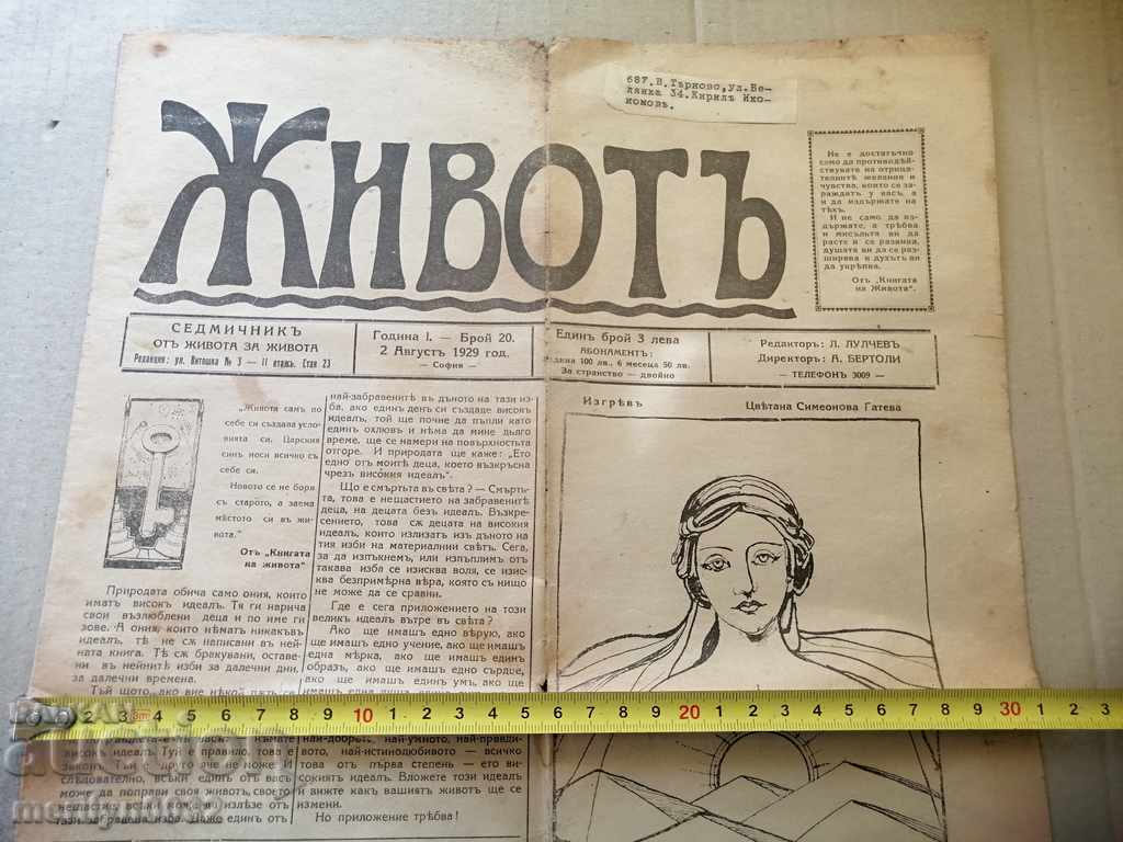 Very rare newspaper Life 1929 - 5 Very rare newspaper Life 1929 - 5