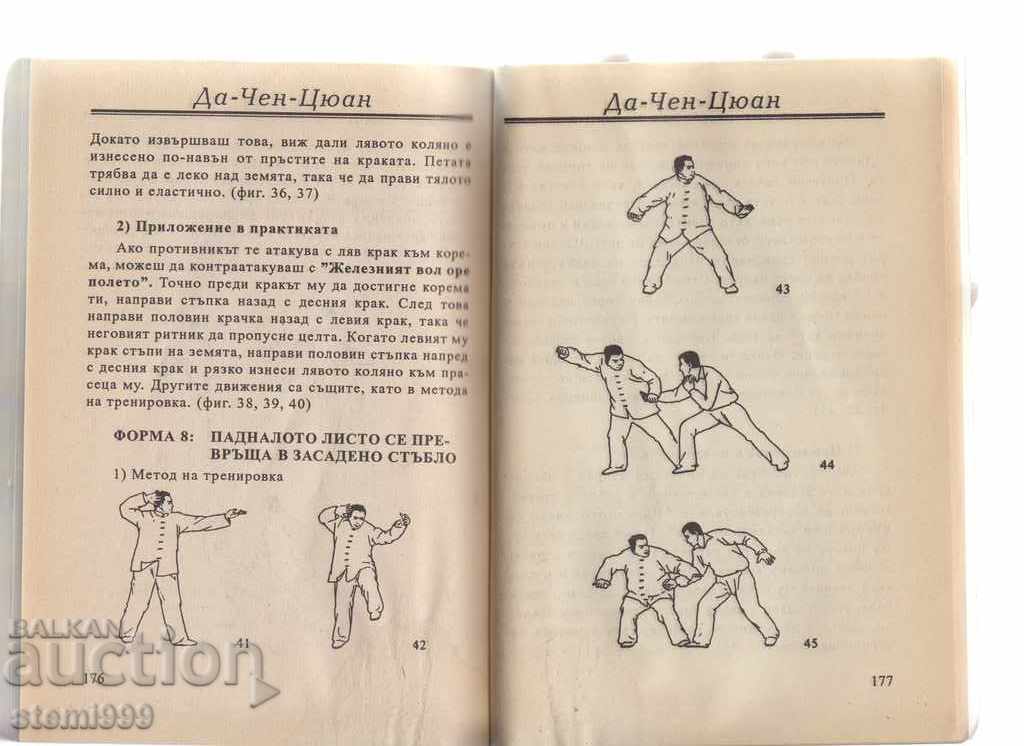 Self-taught book on Da Chen Quan Martial Arts - 6